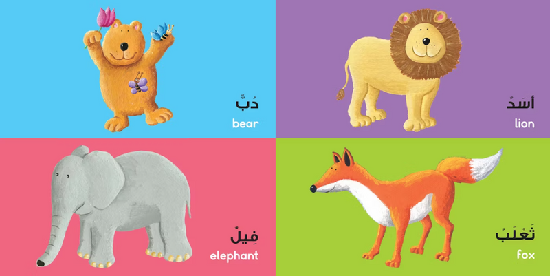 A bilingual board book introducing Arabic words to young learners.