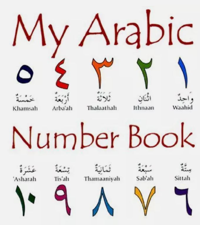 My Arabic Number Book