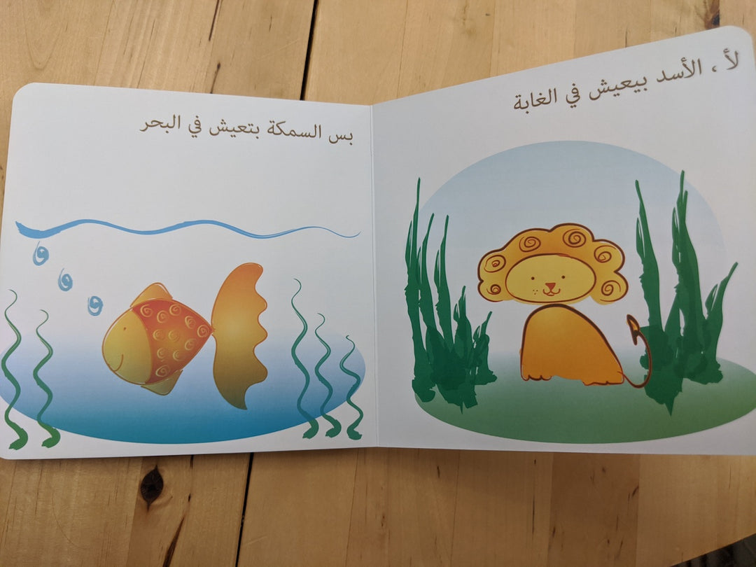 هو الأسد بيعيش في البحر؟ / Does the Lion Live in the Sea?