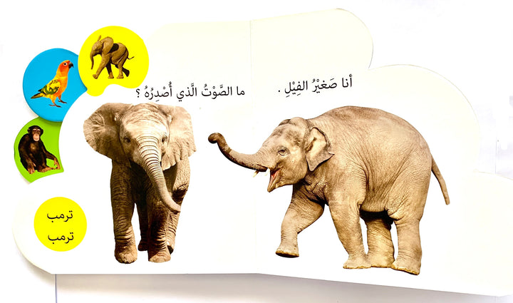 The Zoo/ حديقة الحيوان