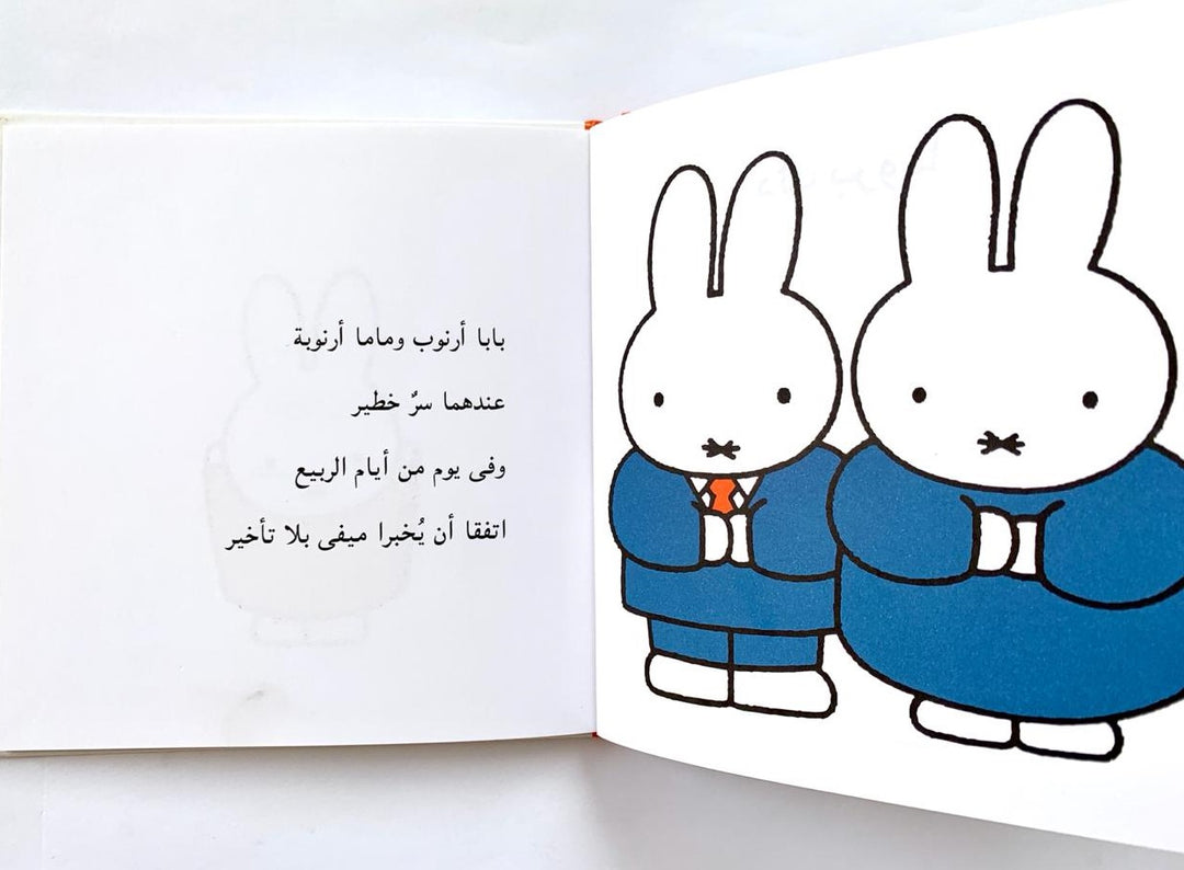 A sweet Miffy book that explores the arrival of a new baby in the family.