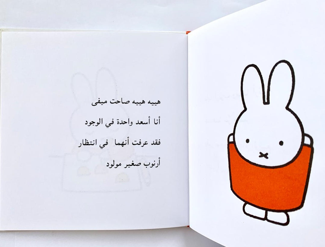 A sweet Miffy book that explores the arrival of a new baby in the family.