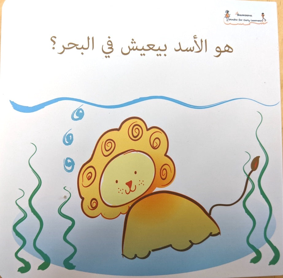 هو الأسد بيعيش في البحر؟ / Does the Lion Live in the Sea?